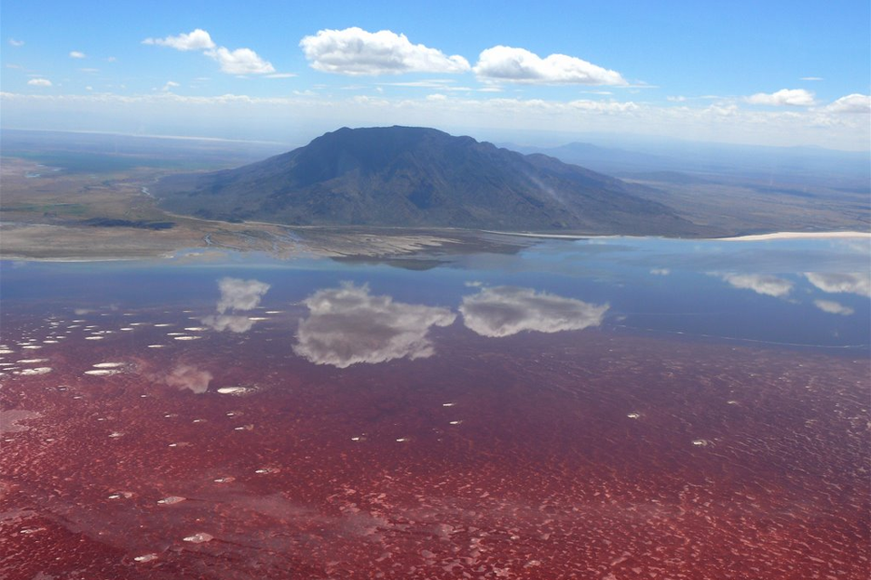 Hồ Natron, Tanzania - Chiếc hồ nước mang màu đỏ tử thần