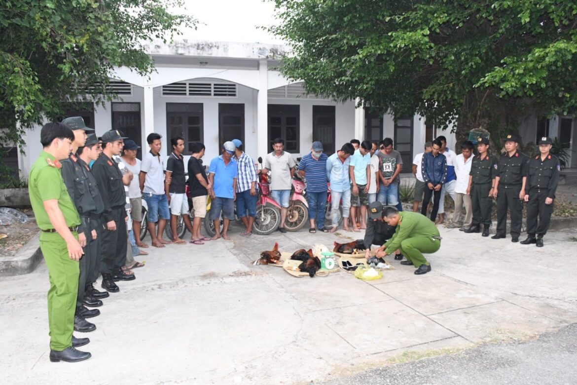 Tạm giữ 14 đối tượng tụ tập đá gà ăn tiền tại huyện Nhơn Trạch